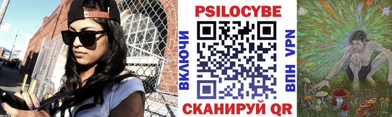 Галлюциногенные грибы Psilocybe  купить закладку  Энем 